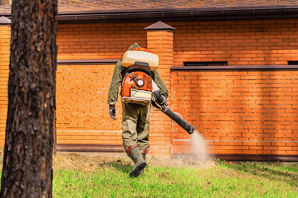 Trusted Bed Bug Control service in Tanaina, AK - Nex Pest Control